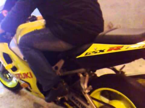 Желтый Джиксер