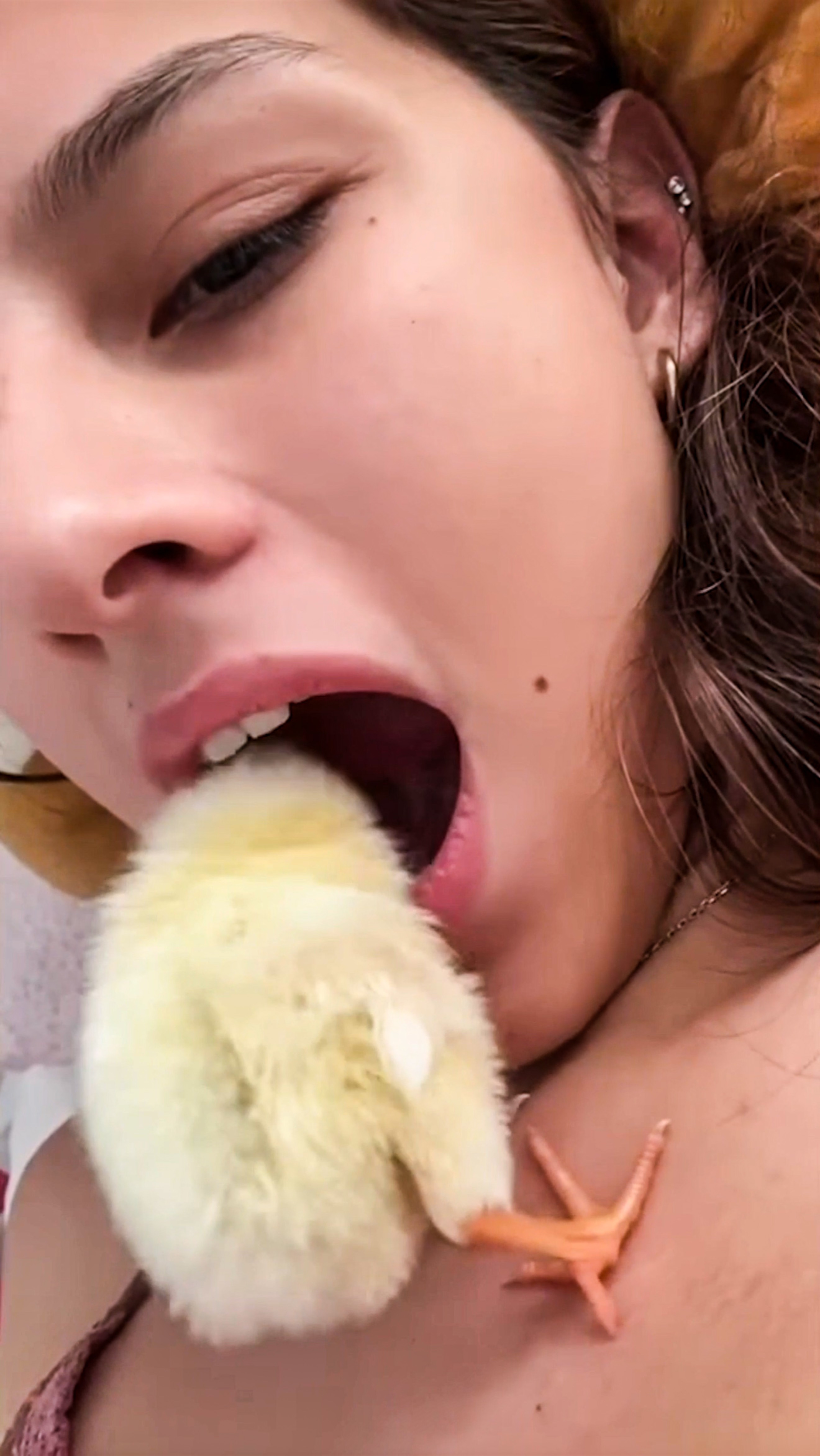🤔КАК ВЫЖИТЬ, ЕСЛИ ЦЫПЛЕНОК ЗАЛЕЗ К ВАМ В РОТ🐥

#юмор #шутка #лайфхак #животные #авто #самолет
