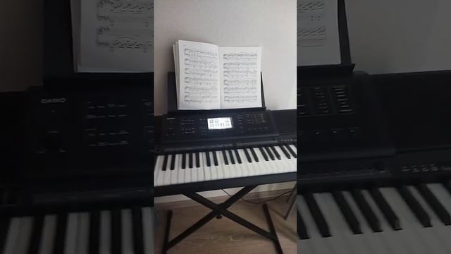 Вместо тысячи сеансов психотерапии у меня музыка #piano #фортепиано #музыка #синтезатор