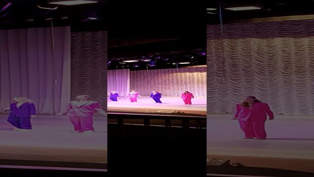VID_20241212_184735.mp4