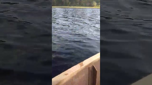 #рыбалка