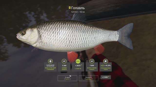 Трофей голавля на Вьюнке(Russian Fishing 4)