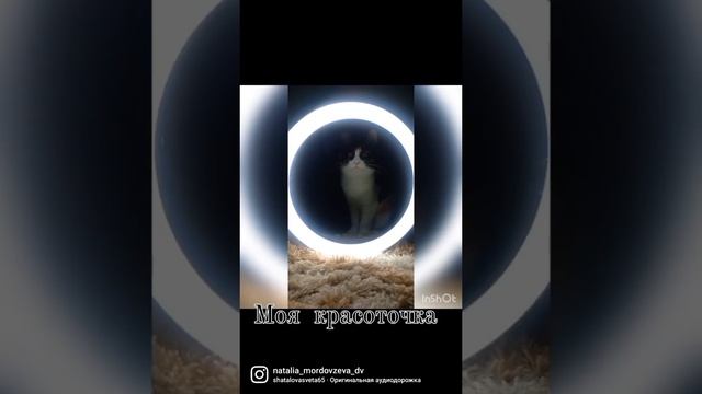 моя любимка