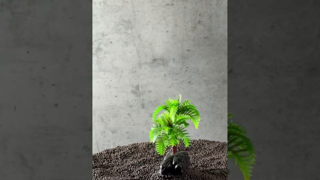 Plant 091