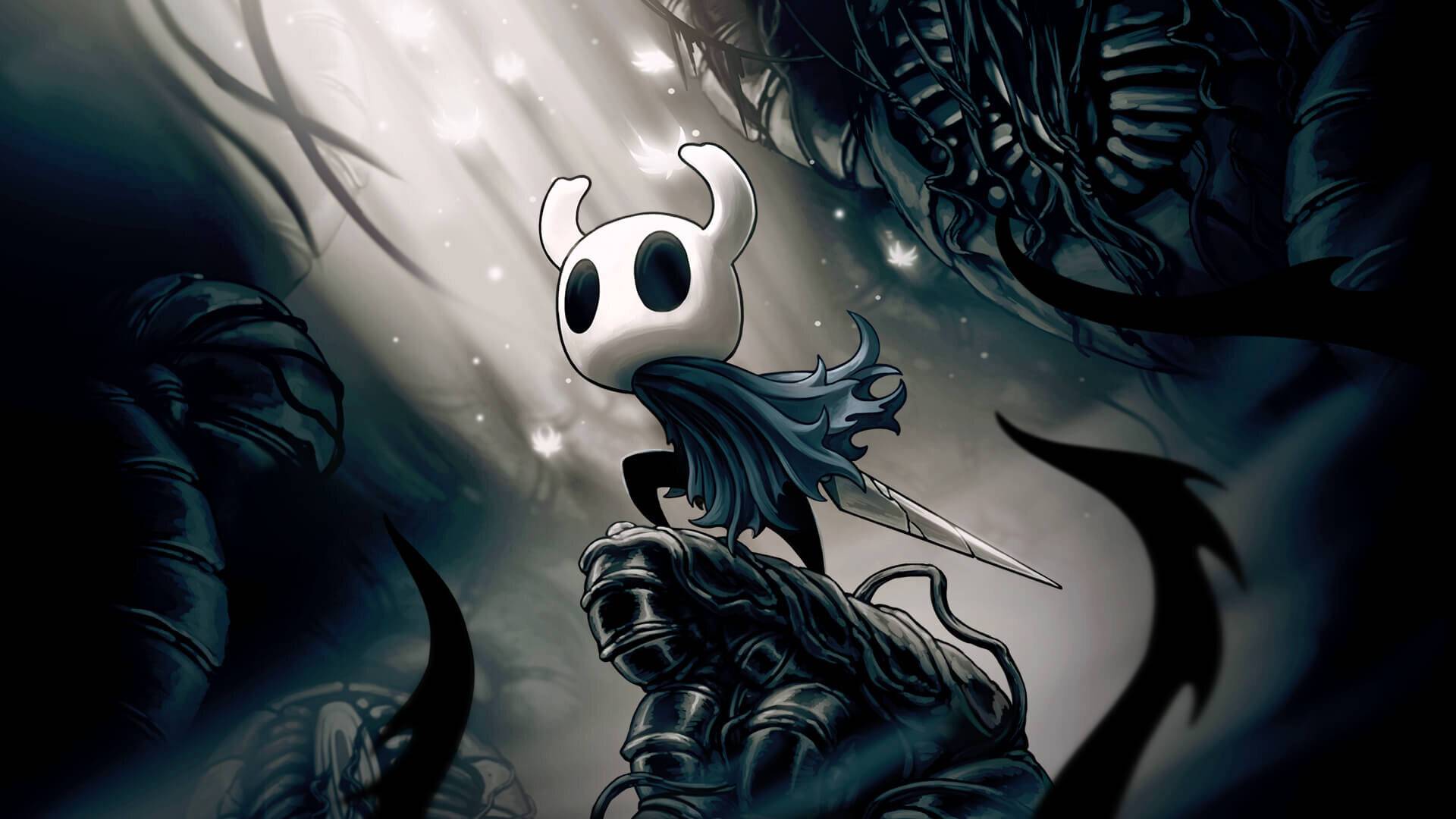 Hollow knight #1