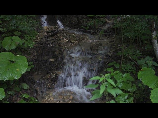 Гуамское ущелье