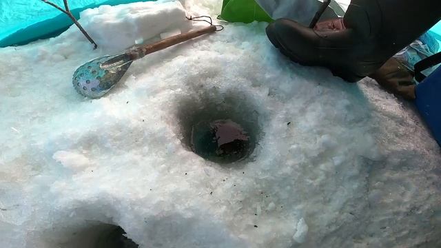 Зимняя рыбалка на удочку ловим чебаков! 😍👍