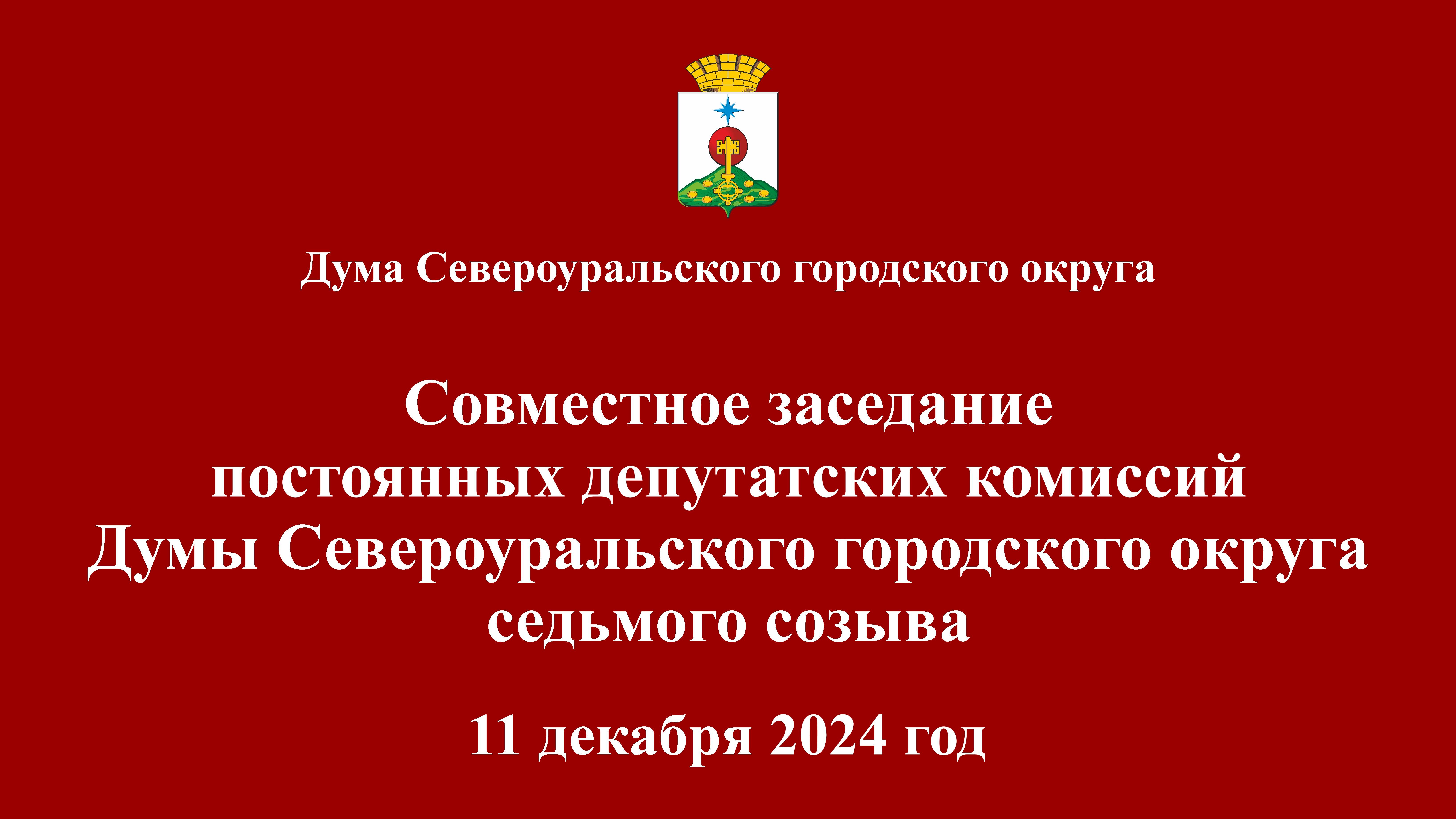 Совместное заседание постоянных депутатских комиссий Думы 11 декабря 2024 года