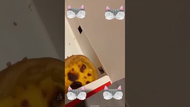 Пушистые хулиганы