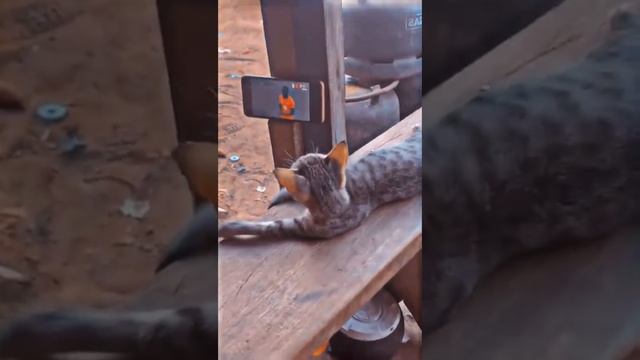 Что он смотрит?? 😮🫵