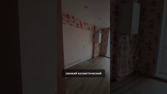 VID_20241211_205452_673.mp4