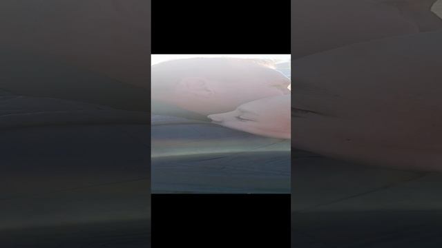 1000067966.mp4