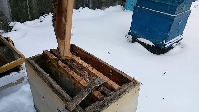 Пробую метод зимой