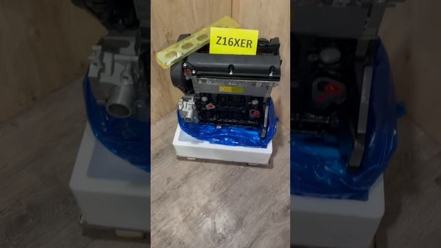 z16xer (6)