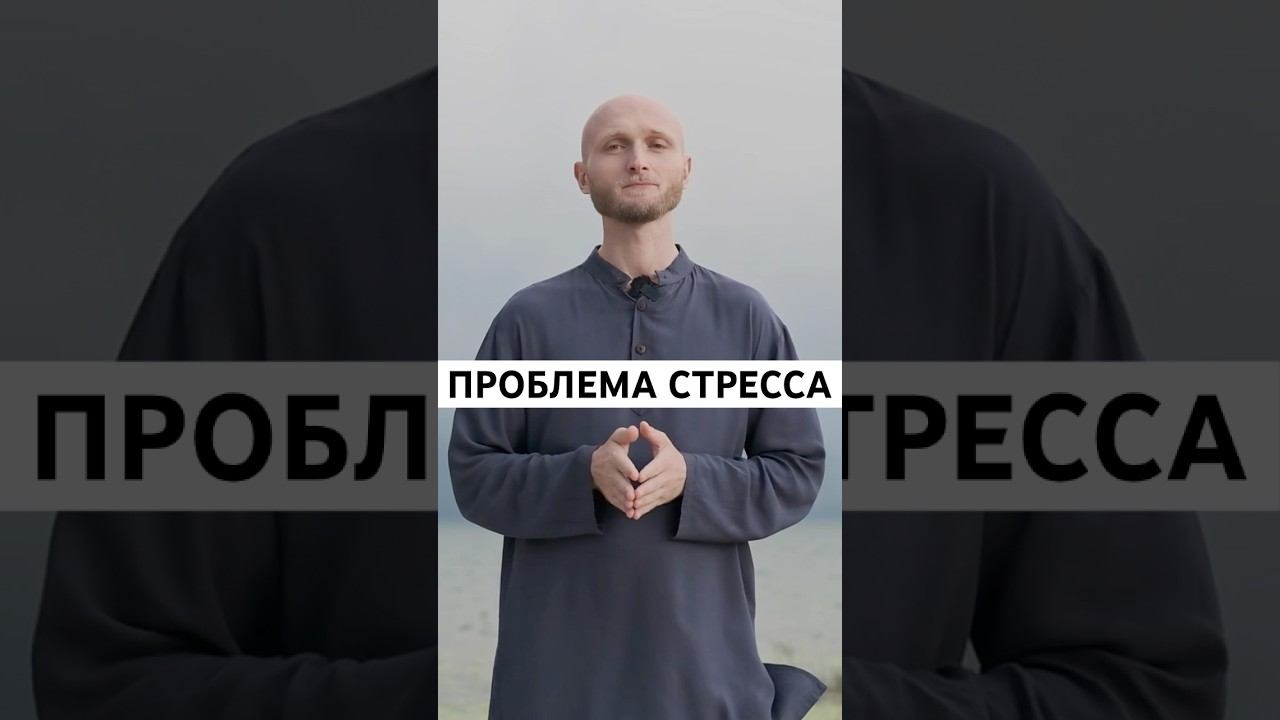 Подписывайтесь на наш канал #психология #саморазвитие #стресс #стрессоустойчивость #стрессменеджмент