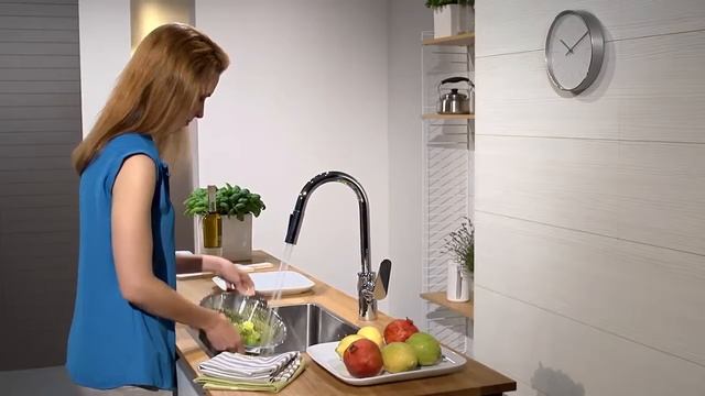 Hansgrohe Focus Single lever kitchen