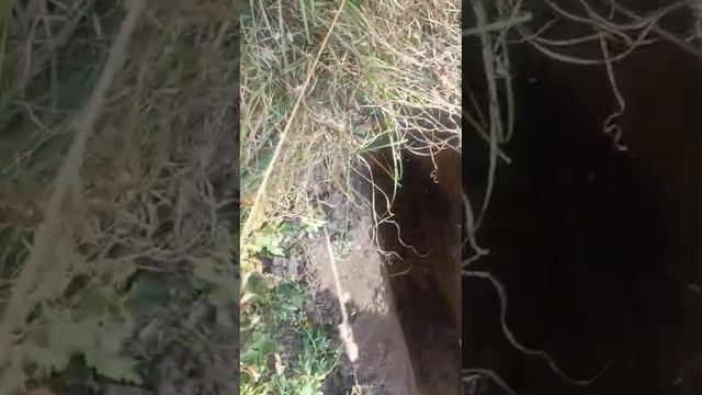 1000896459.mp4