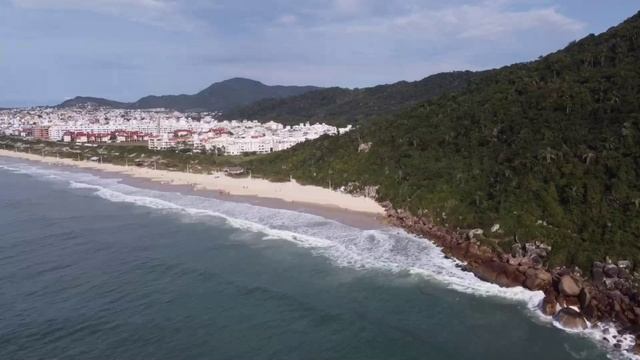 BabyBrazil