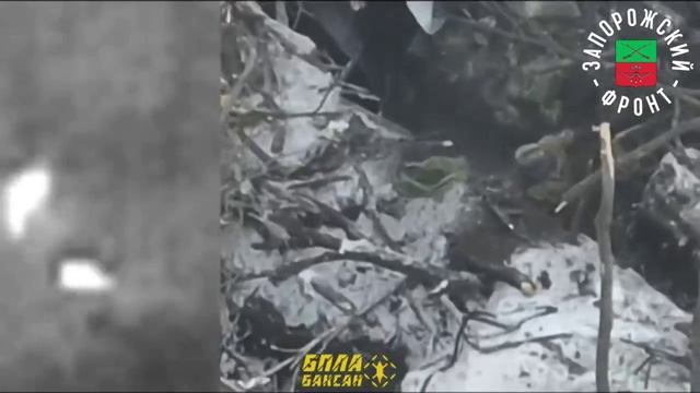 ⚡️Сводка Минобороны РФ 12.12.24.
▫️Подразделениями группировки войск «Север» на Харьковском…🔽🔽🔽