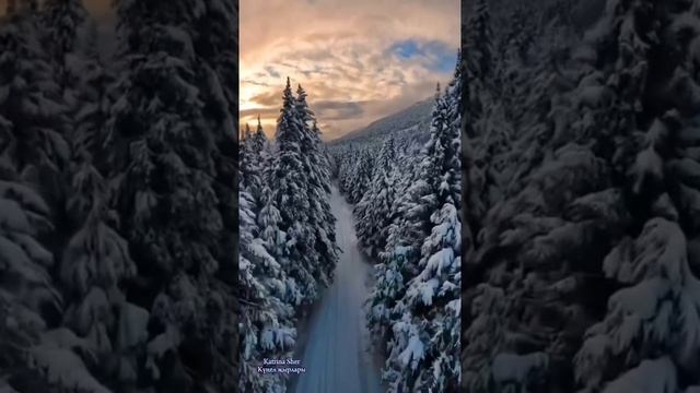 Яумагыз карлар.mp4