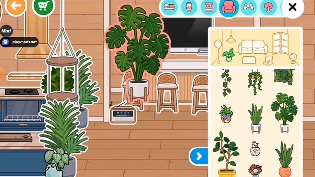 XRecorder_12122024_220208.mp4