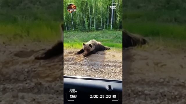 Спросил дорогу!🤗.mp4