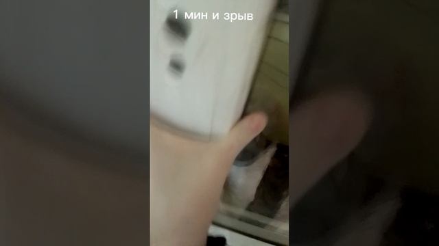 lv. в лайке тоже но меньше