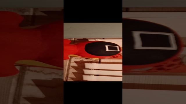 1000027569.mp4