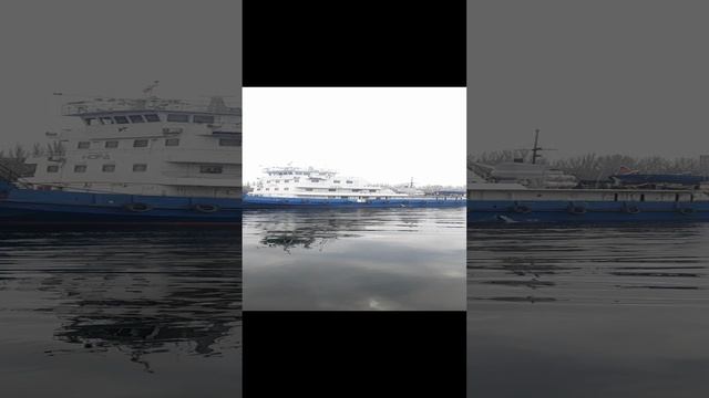 1000033229.mp4Волга.12.12.2024г.