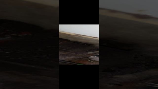 1000118050.mp4