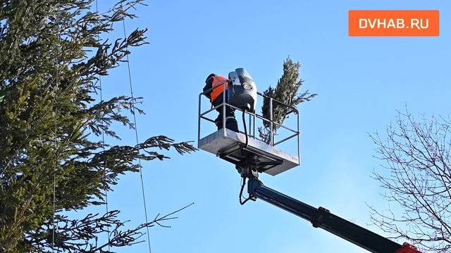 Новогодний Гулливер занял свой пост в парке «Динамо»