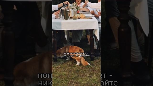 Подписывайтесь