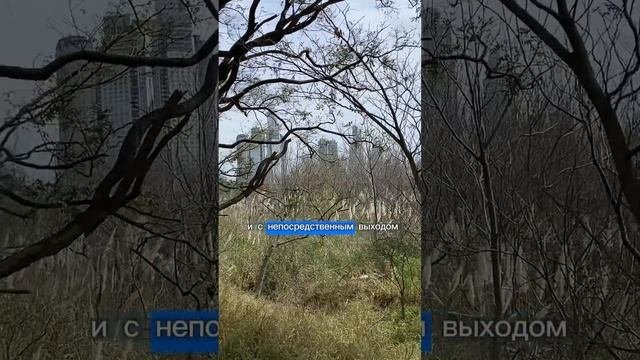 Самый модный тут Пуэрто Мадеро