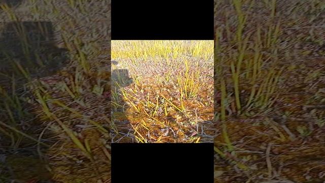 1000005376.mp4