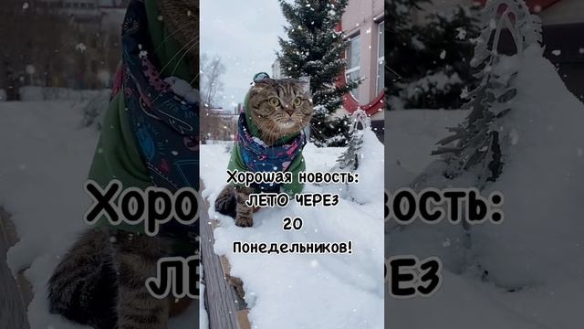 ХихиЧпок юмор