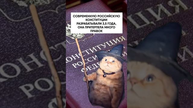 ИСТОРИЯ ПРАЗДНИКА: ДЕНЬ КОНСТИТУЦИИ В МЕМАХ С КОТИКАМИ #история #деньконституции #россия #мем #мемы