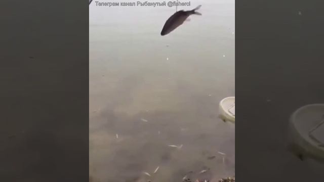 Вот это выход! 👍🔥