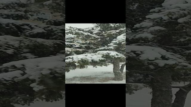 Новый год всё ближе!
