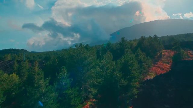 HDR10 4K 60FPS BT 2020