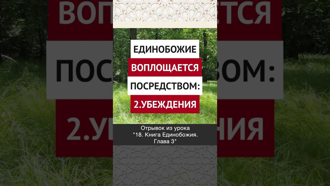 Единобожие воплощается посредством убеждения || Ринат абу Ибрахим #ислам #коран #вера #бог #намаз