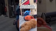 #Накипело Давайте лечить правильно Больше информации по ссылкам в профиле .mp4
