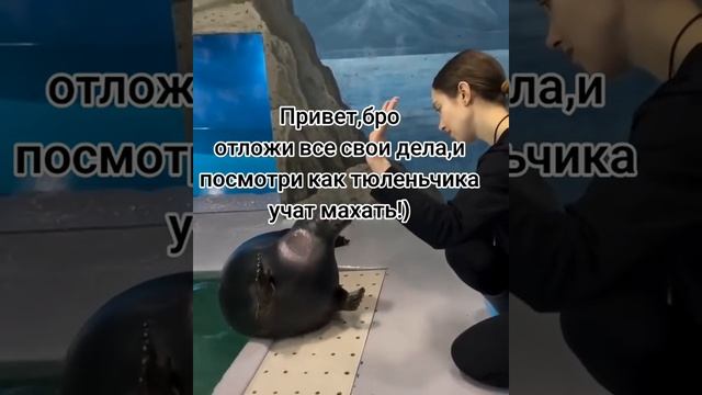 1000050177.mp4