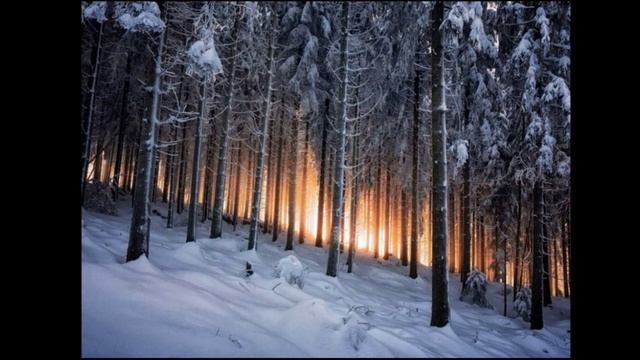 На тройке. Петр Ильич Чайковский.