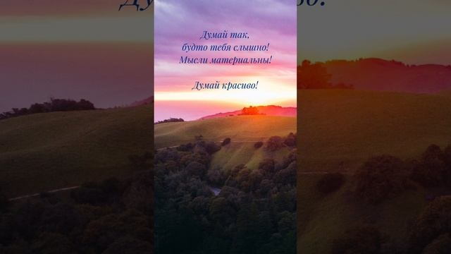 Цитата дня