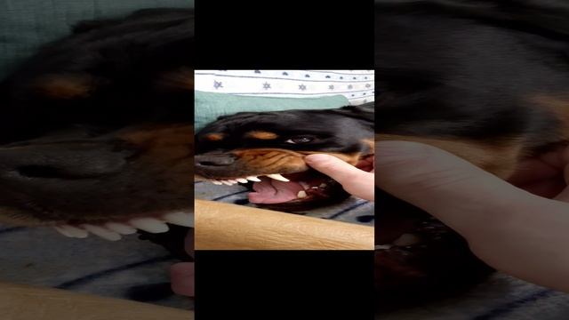 1000024529.mp4