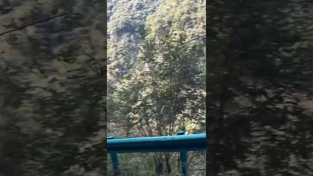 Гопники напали на полицейского