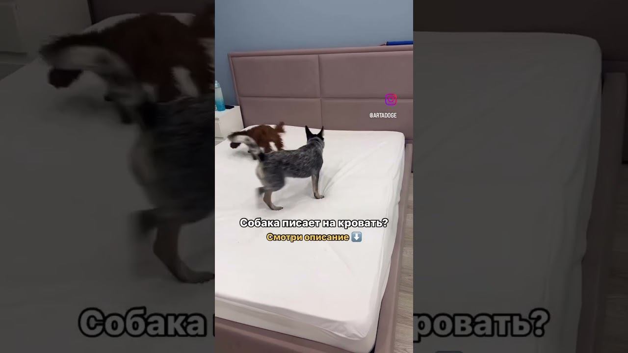 Описание в комментариях