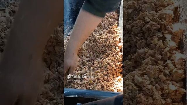 КОНСИСТЕНЦИЯ  КАШИ ДЛЯ КУР!!!
