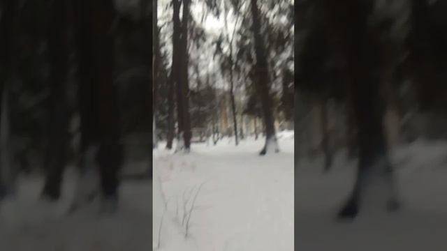 VID-20241212-WA0008