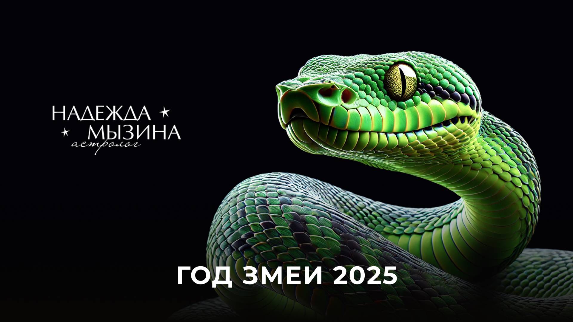 Год змеи 2025
